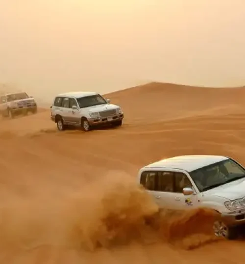 Dune-Bashing_26th-feb.jpg